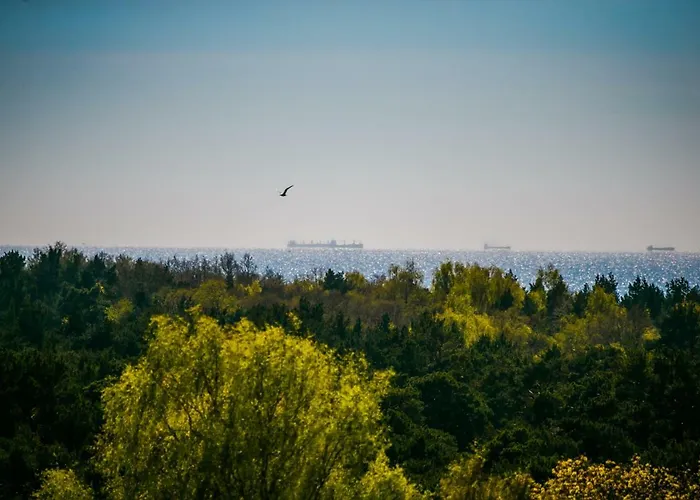 Апартаменты Juros Akys 9th Floor Паланга